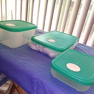 **BRAND NEW** TUPPERWARE'S REFRIGERATOR CONTAINER 3-PC SET!! ❄️🏆💙